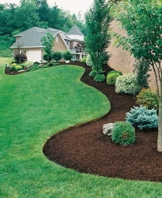 Beautiful curving mulch bed borders with ornamental shrubs and trees
